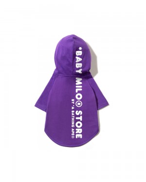 Bape Pet hoodie Miesten Muut Tarvikkeet Violetit | FVW-054328